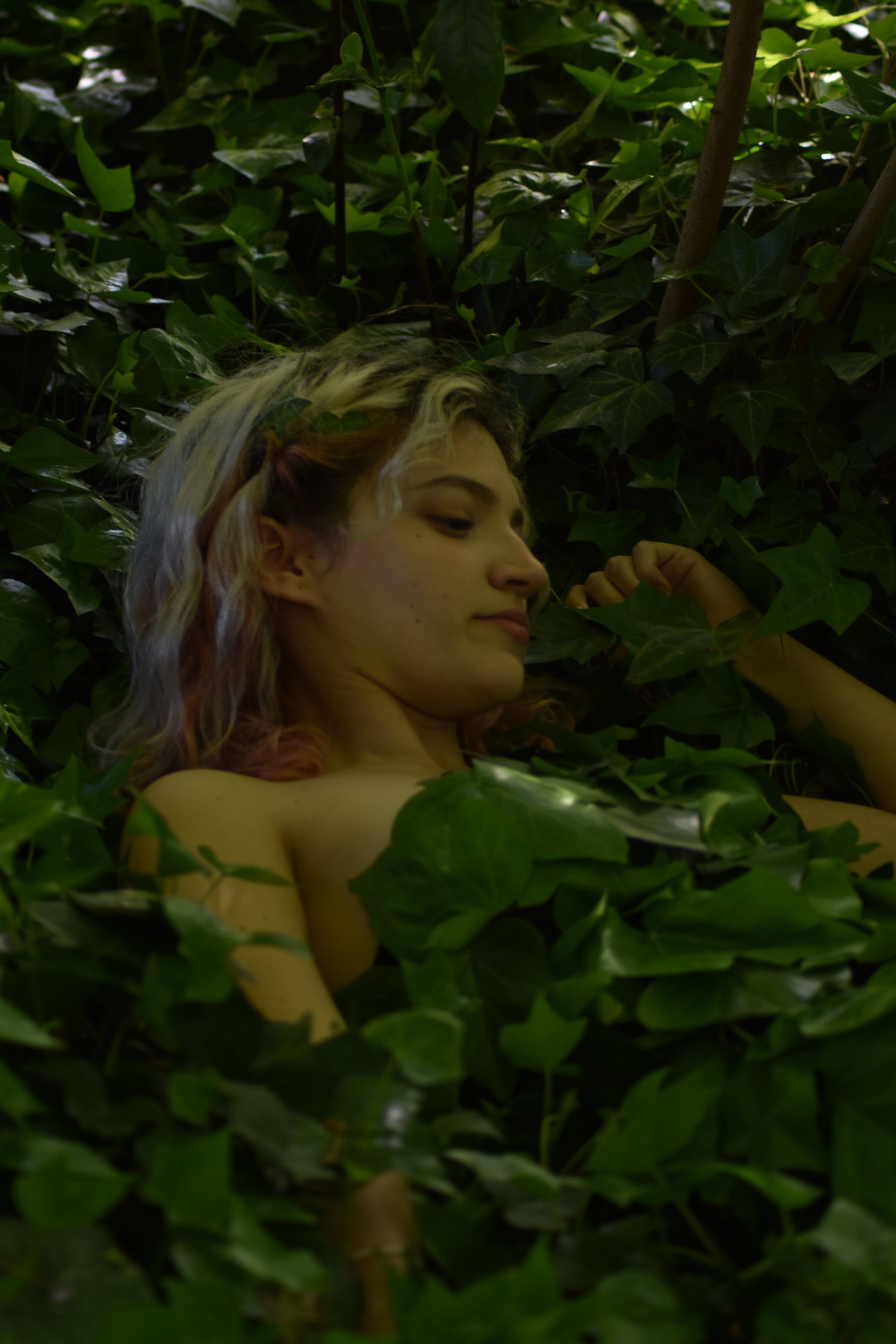Moda y naturaleza.